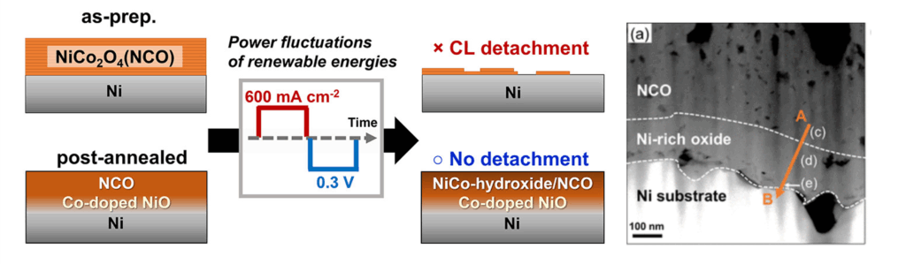 水電解触媒 | 環境材料表面科学分野 轟研究室 - 東北大学大学院環境